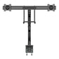 StarTech.com ARMSLMBARDUO - Desk monitor mount for 43.2 cm (17") to 81.3 cm (32")