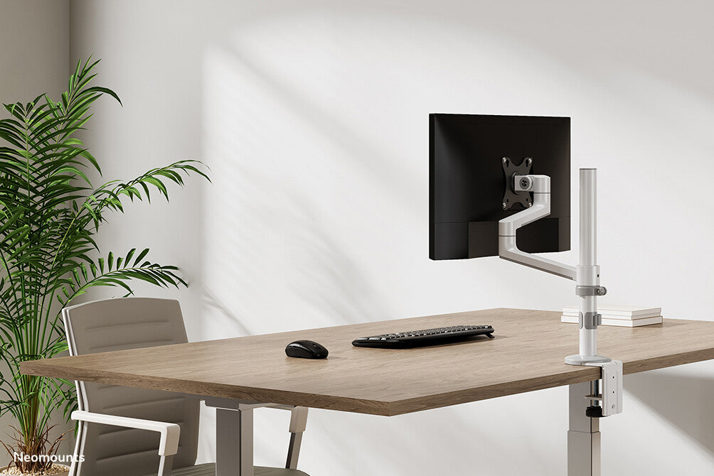 Neomounts DS60-425WH1 - Desk monitor mount for 43.2 cm (17") to 68.6 cm (27")