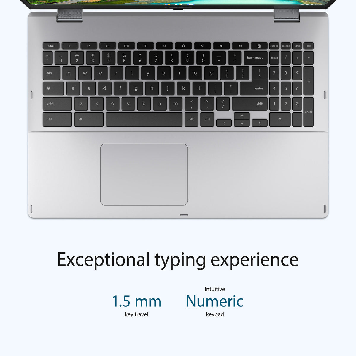 ASUS Chromebook - 39.6 cm (15.6") - Touchscreen - Intel® Celeron® N4500 - 8 GB LPDDR4x-SDRAM - 64 GB eMMC - Wi-Fi 6 - ChromeOS - Silver