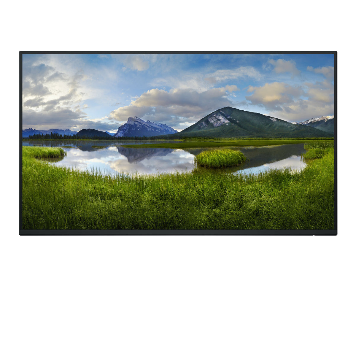 DELL P Series P2725H_WOST - 68.6 cm (27") 1920 x 1080 pixels Full HD LCD Monitor (No Stand)