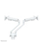 Neomounts FPMA-D750DWHITE2 - Desk monitor mount for 25.4 cm (10") to 81.3 cm (32")
