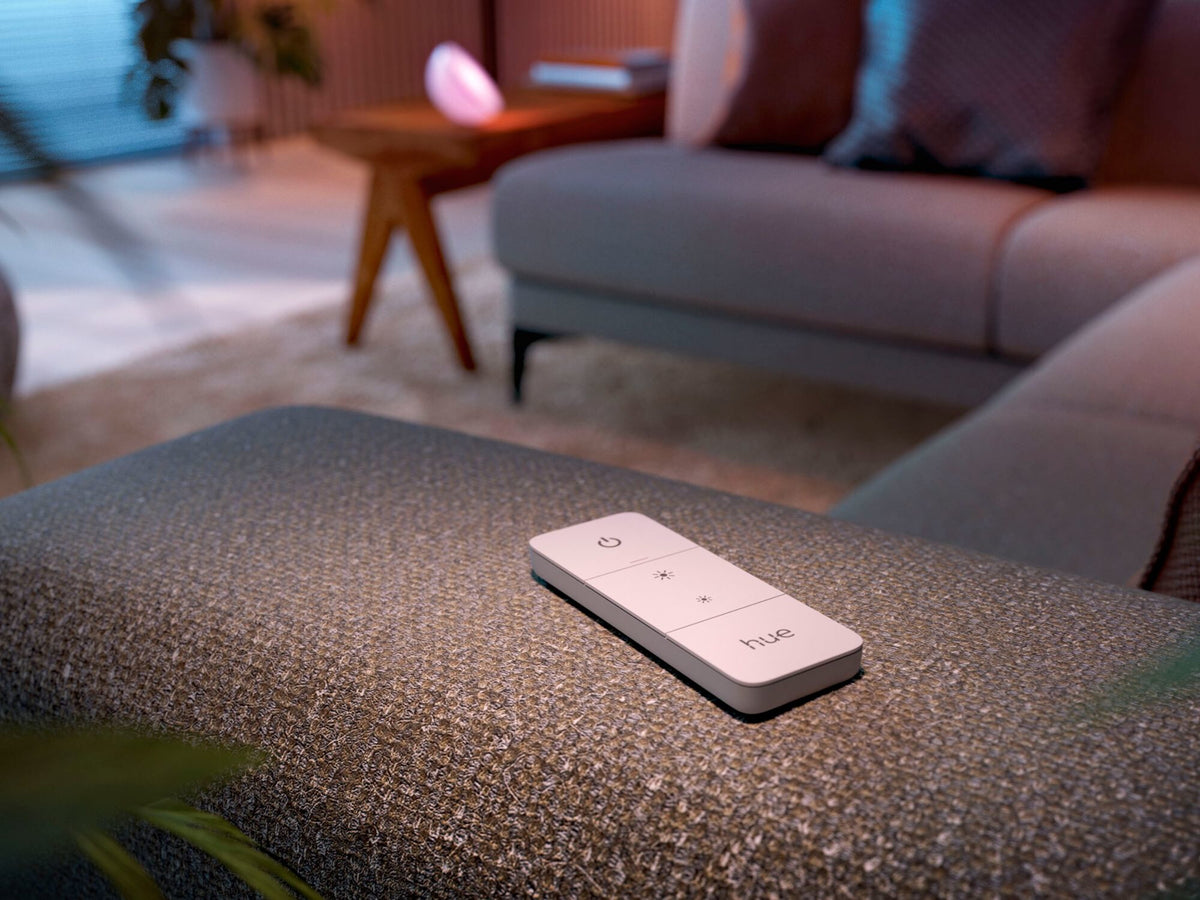 Philips Hue Go & Dimmer Switch V2