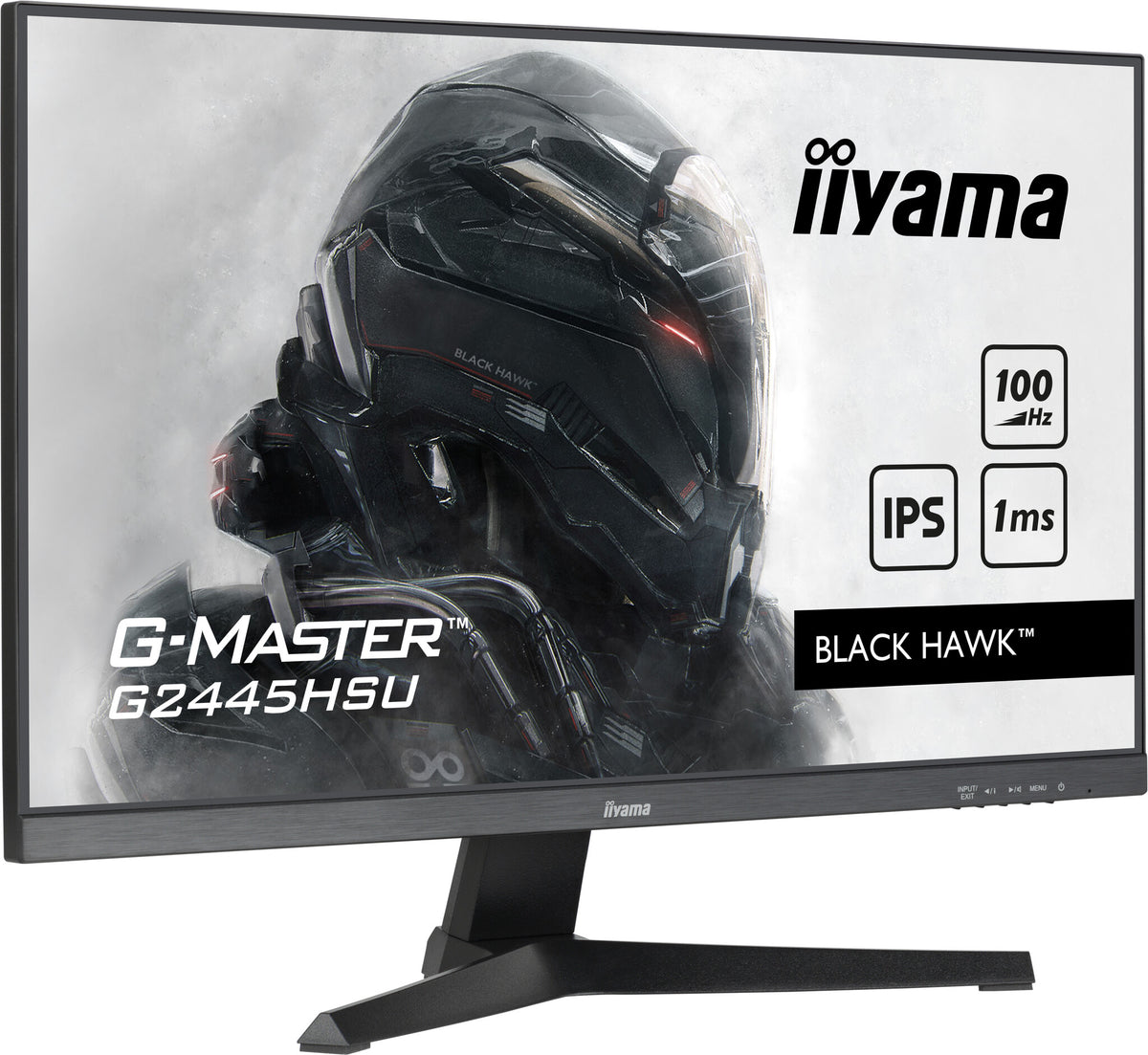 iiyama G-MASTER G2445HSU-B1 - 61 cm (24") - 1920 x 1080 pixels FHD LED Monitor
