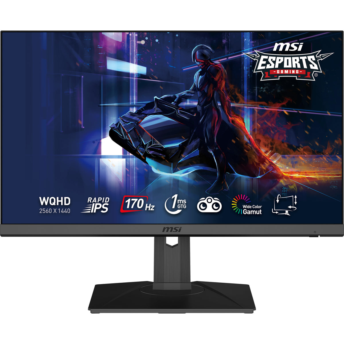 MSI G272QPF - 68.6 cm (27") - 2560 x 1440 pixels WQHD Monitor