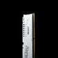Kingston Technology FURY Beast White XMP - 16 GB 1 x 16 GB 5600MT/s DDR5 memory module