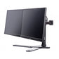 iiyama DS1002D-B1 - Desk Monitor Stand for 25.4 cm (10") to 76.2 cm (30")
