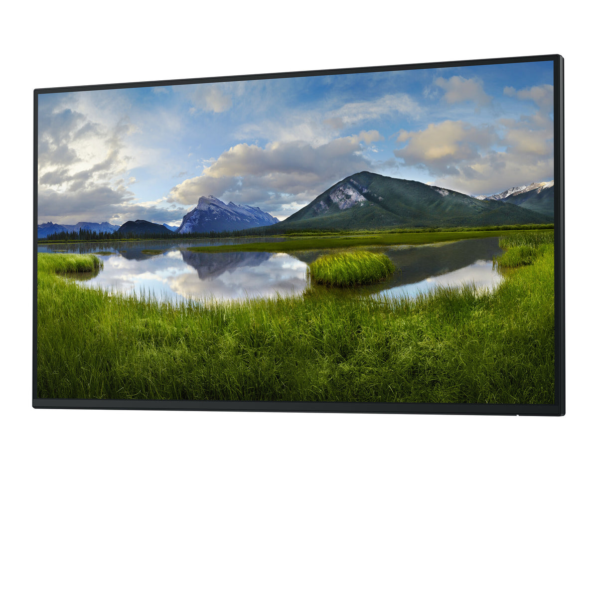 DELL P Series P2725H_WOST - 68.6 cm (27") 1920 x 1080 pixels Full HD LCD Monitor (No Stand)