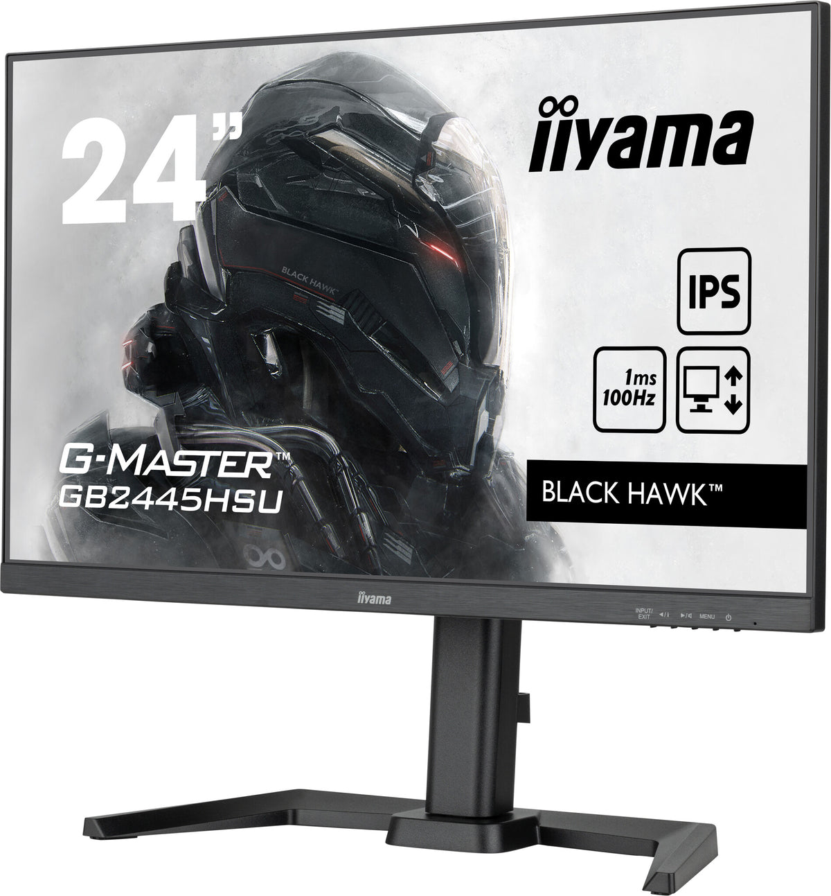 iiyama G-MASTER GB2445HSU-B1 - 61 cm (24") - 1920 x 1080 pixels Full HD LED Monitor