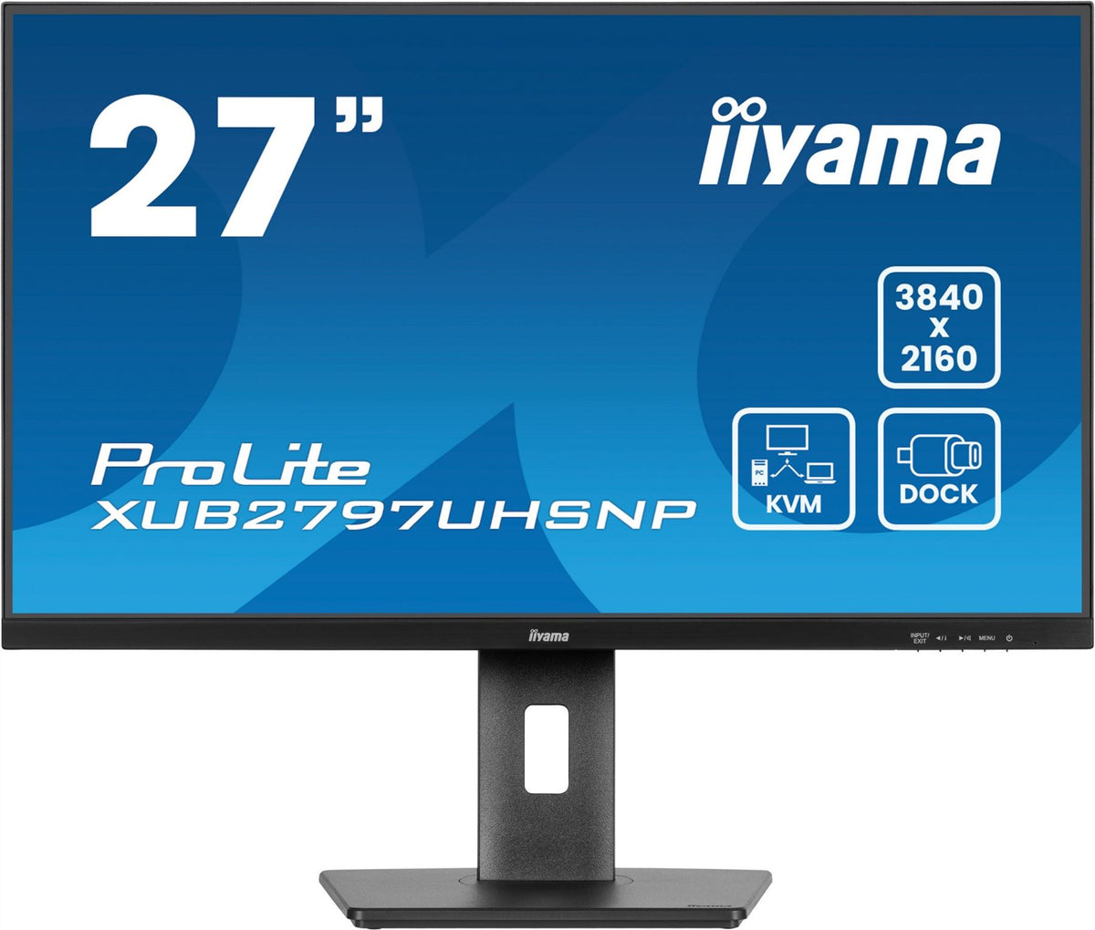Monitors - Iiyama