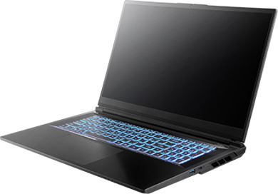 MEDION Erazer Defender 17 P10 Intel Core i9 14900HX 16GB RAM 1TB SSD GeForce RTX 5060 144Hz 17.3" Windows 11 Home Gaming Laptop Intel® Core™ i9 i9-14900HX 43.9 cm (17.3") Full HD DDR5-SDRAM NVIDIA GeForce RTX 5060 Wi-Fi 6E (802.11ax) Black