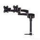 StarTech.com ARMDUAL - Desk monitor mount for 30.5 cm (12") to 61 cm (24")