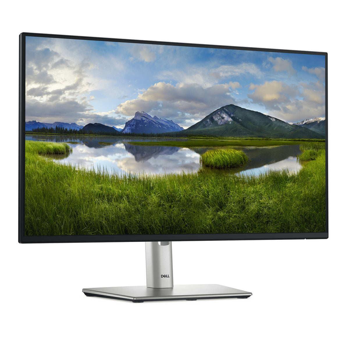 DELL P Series P2425HE - 61 cm (24")  - 1920 x 1080 pixels Full HD LCD Monitor