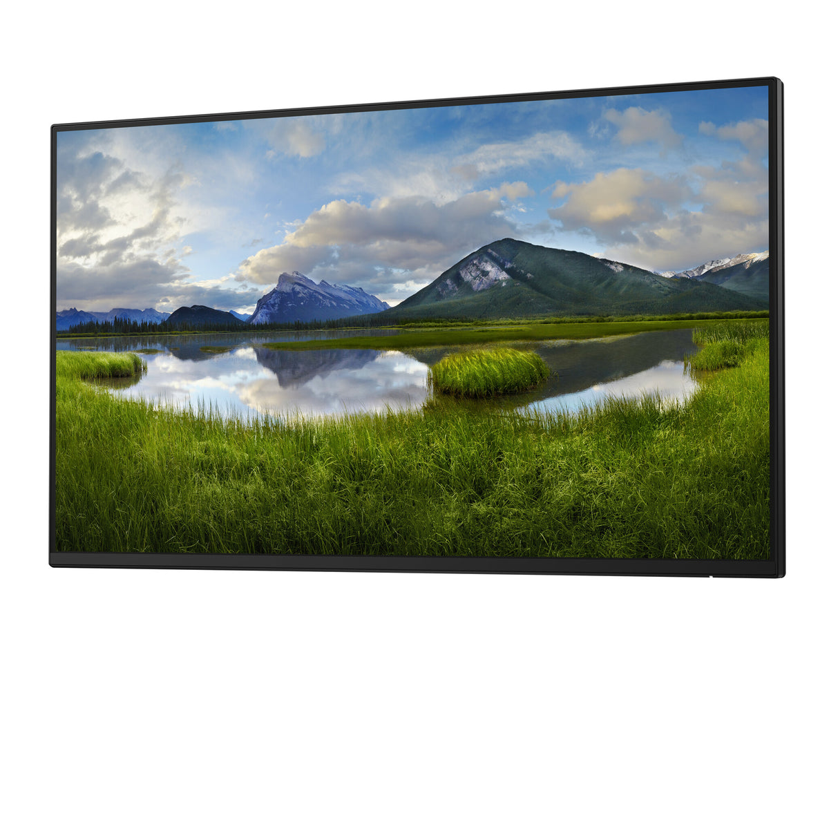 DELL P Series P2425HE_WOST - 61 cm (24") - 1920 x 1080 pixels Full HD LCD Monitor