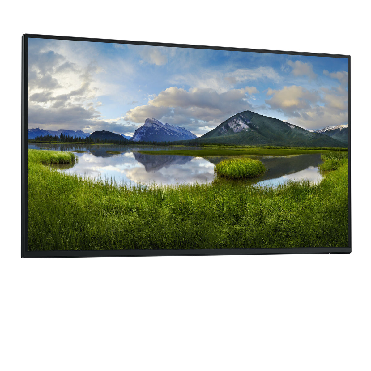DELL P Series P2725H_WOST - 68.6 cm (27") 1920 x 1080 pixels Full HD LCD Monitor (No Stand)