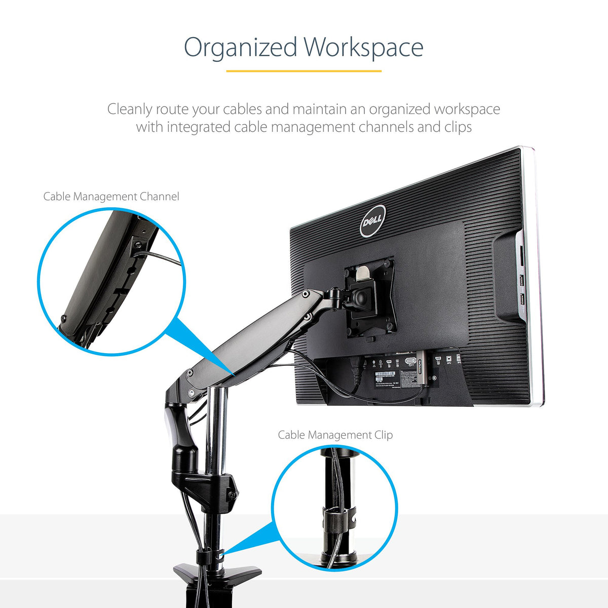 StarTech.com ARMPIVOTE2 - Desk monitor mount for 81.3 cm (32") to 124.5 cm (49")