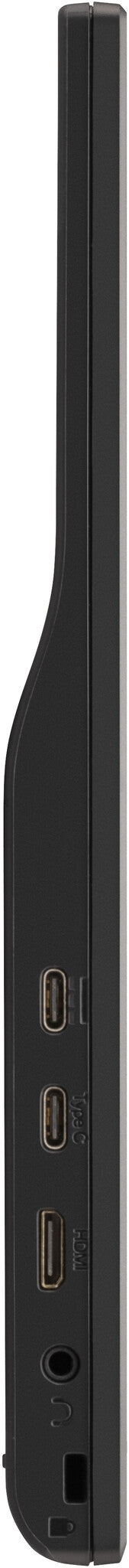 Viewsonic VA1655 - 40.6 cm (16") - 1920 x 1080 pixels Full HD LED Monitor