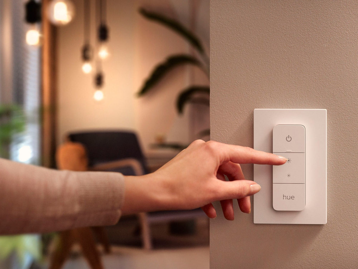 Philips Hue Go & Dimmer Switch V2