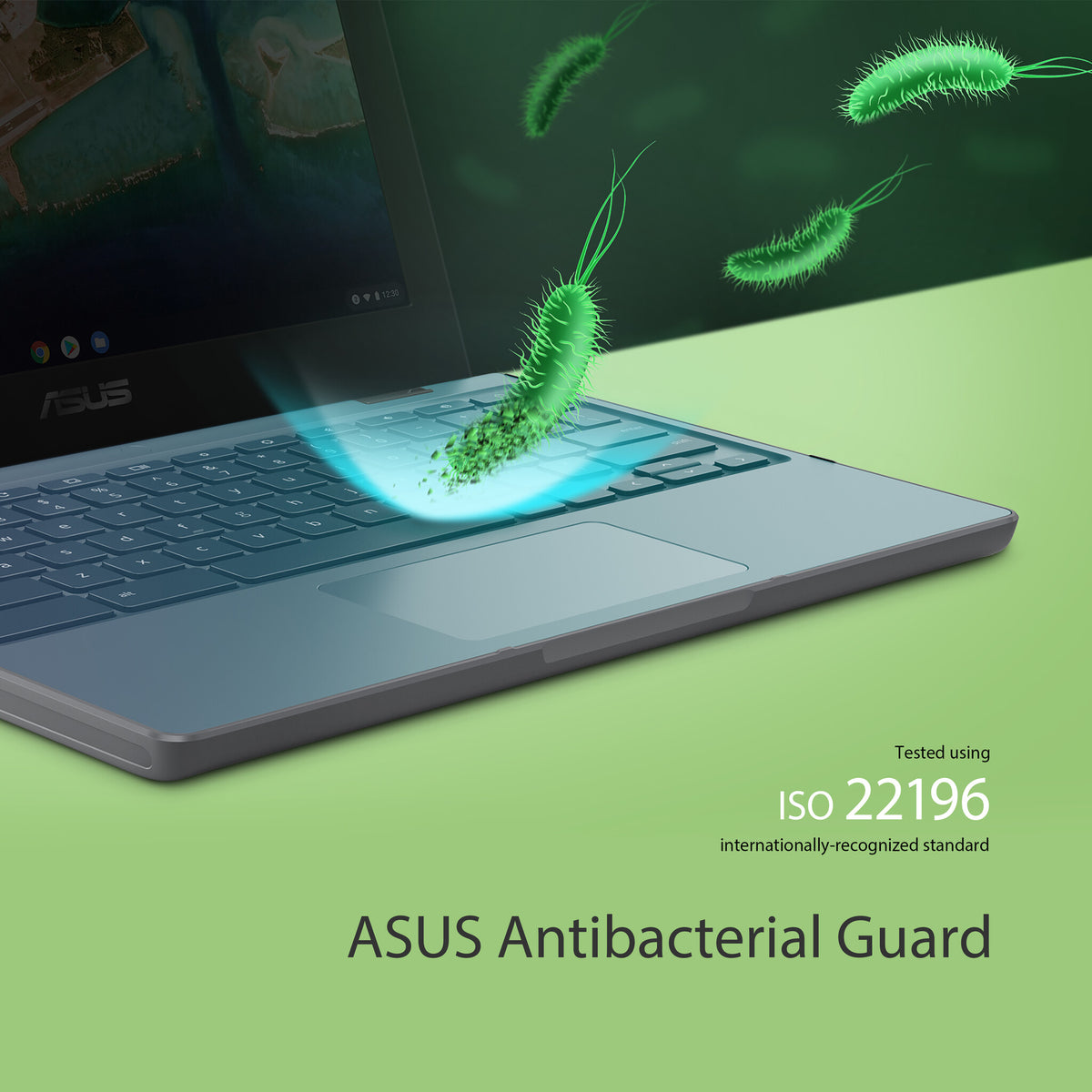 ASUS Chromebook CR1100CKA-GJ0388 - 29.5 cm (11.6") - Intel® Celeron® N N4500 - 4 GB LPDDR4x-SDRAM - 64 GB eMMC - Wi-Fi 6 - ChromeOS - Grey