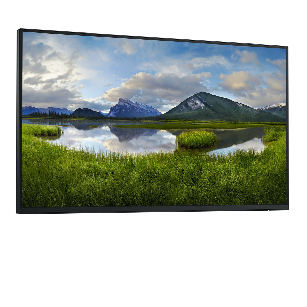 DELL P Series P2425HE_WOST - 61 cm (24") - 1920 x 1080 pixels Full HD LCD Monitor