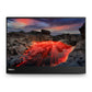 Lenovo ThinkVision M14T - 35.6 cm (14") - 2240 x 1400 pixels 2.2K LED Touchscreen Monitor