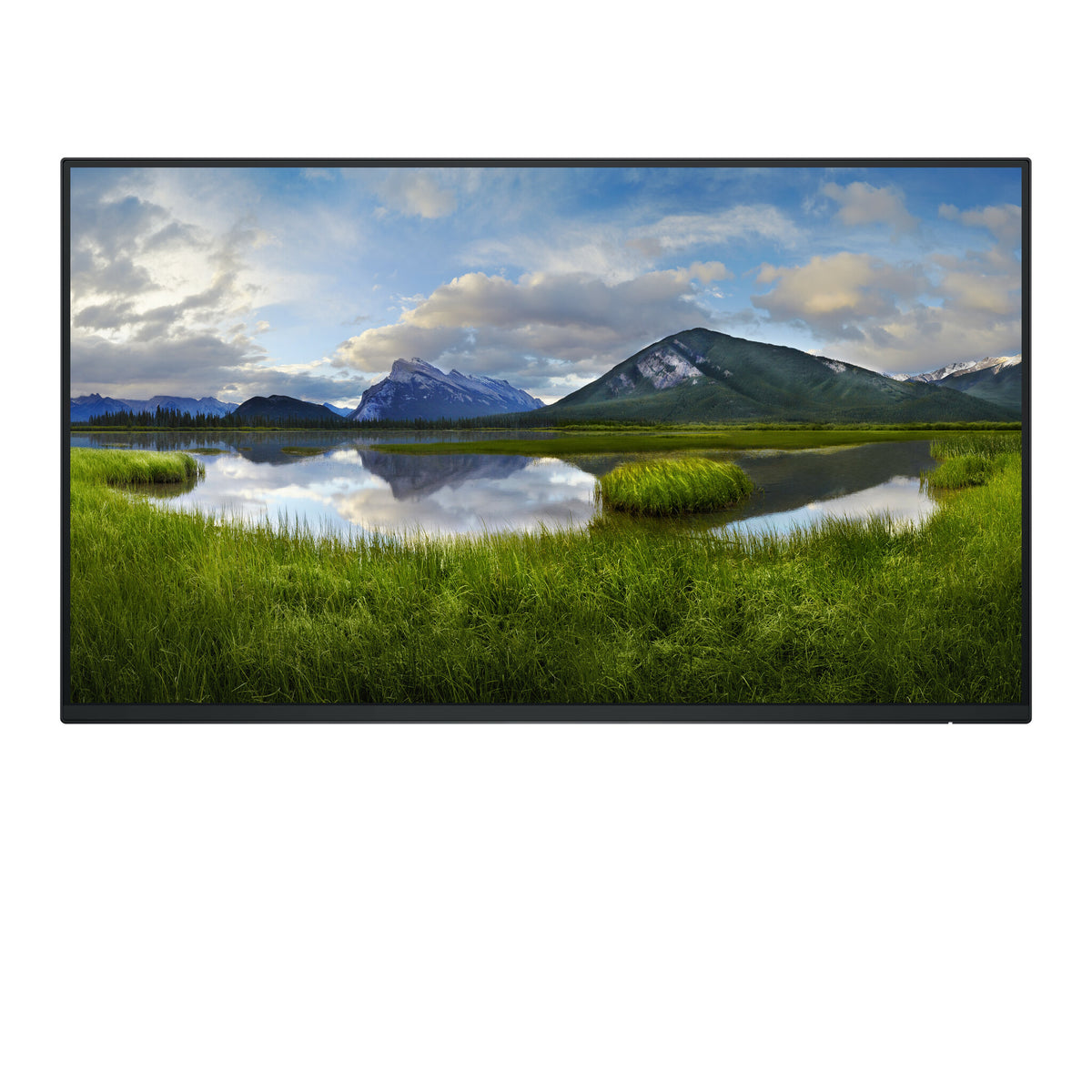 DELL P Series P2425HE_WOST - 61 cm (24") - 1920 x 1080 pixels Full HD LCD Monitor
