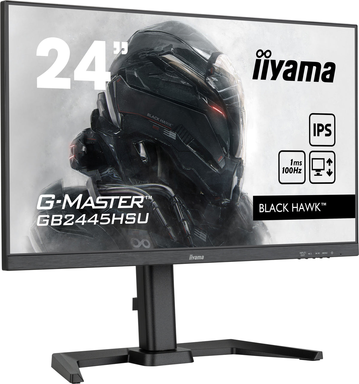 iiyama G-MASTER GB2445HSU-B1 - 61 cm (24") - 1920 x 1080 pixels Full HD LED Monitor