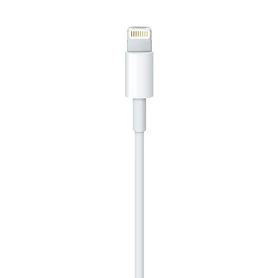 Apple Lightning to USB Cable - 1m