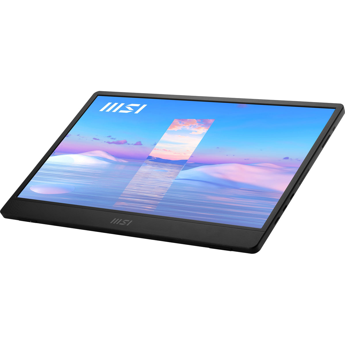 MSI Pro MP161 - 39.6cm (15.6") - 1920 x 1080 pixels FHD Portable Monitor