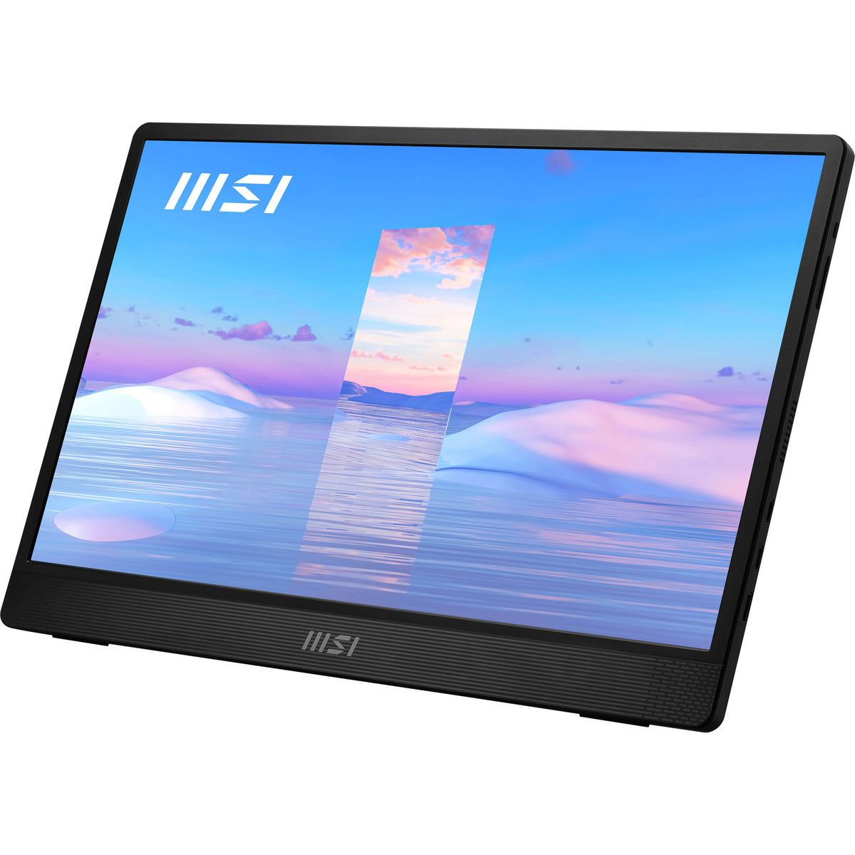MSI Pro MP161 - 39.6cm (15.6") - 1920 x 1080 pixels FHD Portable Monitor