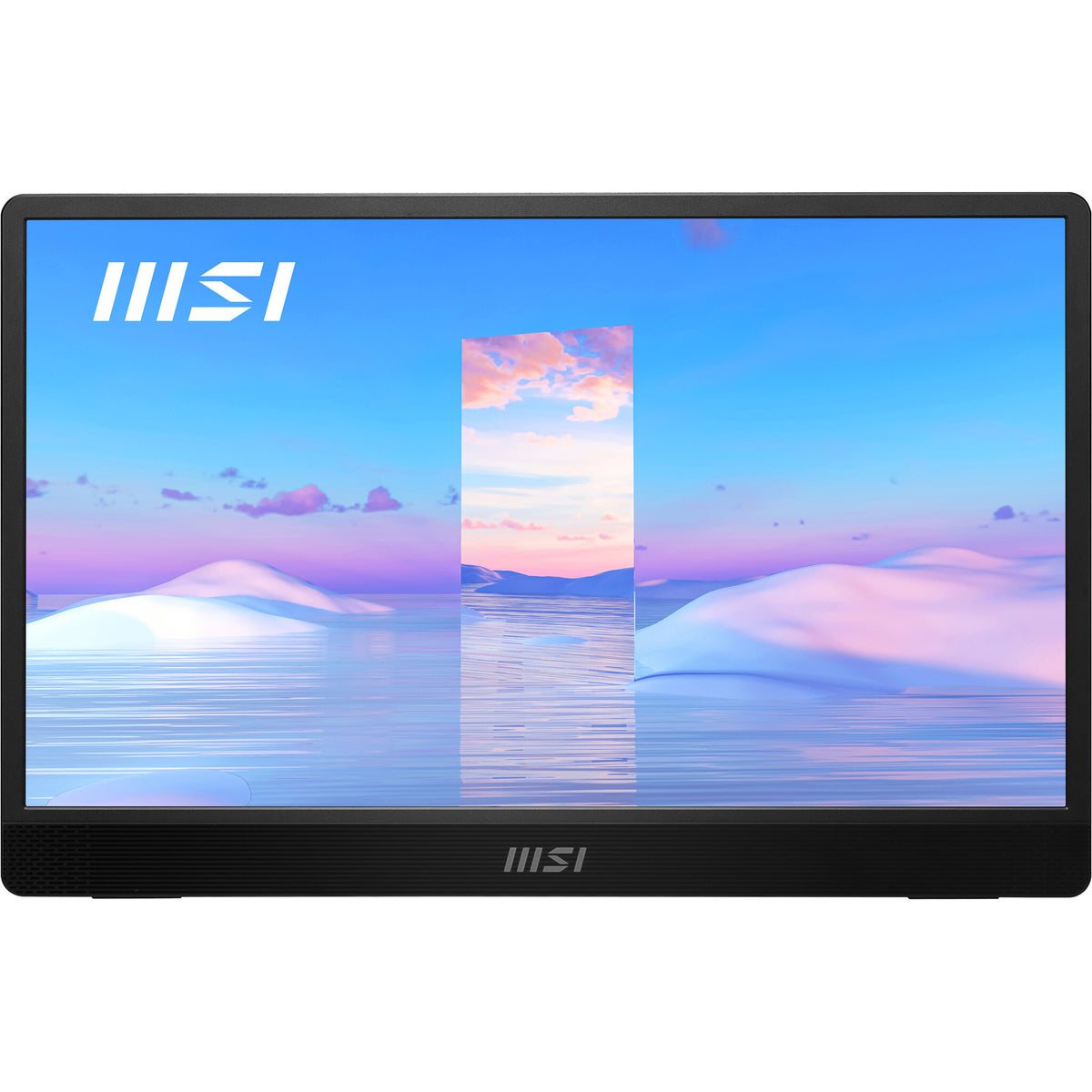 MSI Pro MP161 - 39.6cm (15.6") - 1920 x 1080 pixels FHD Portable Monitor