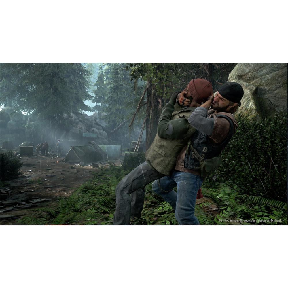 Days Gone
