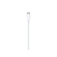 Apple Lightning to USB-C Cable - 2m