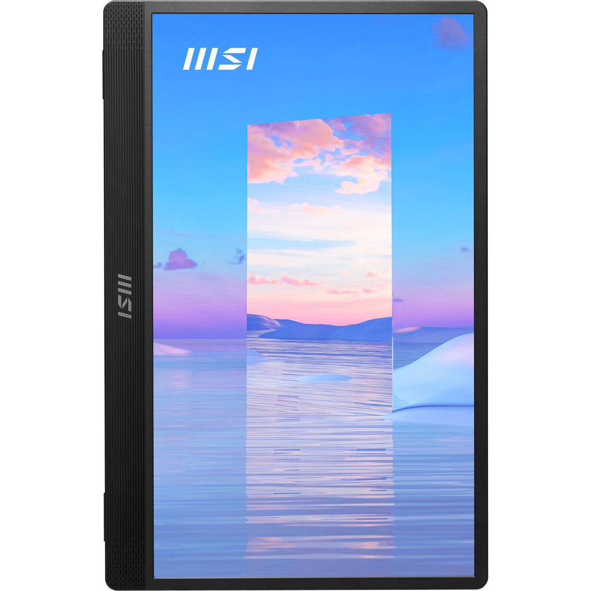 MSI Pro MP161 - 39.6cm (15.6") - 1920 x 1080 pixels FHD Portable Monitor