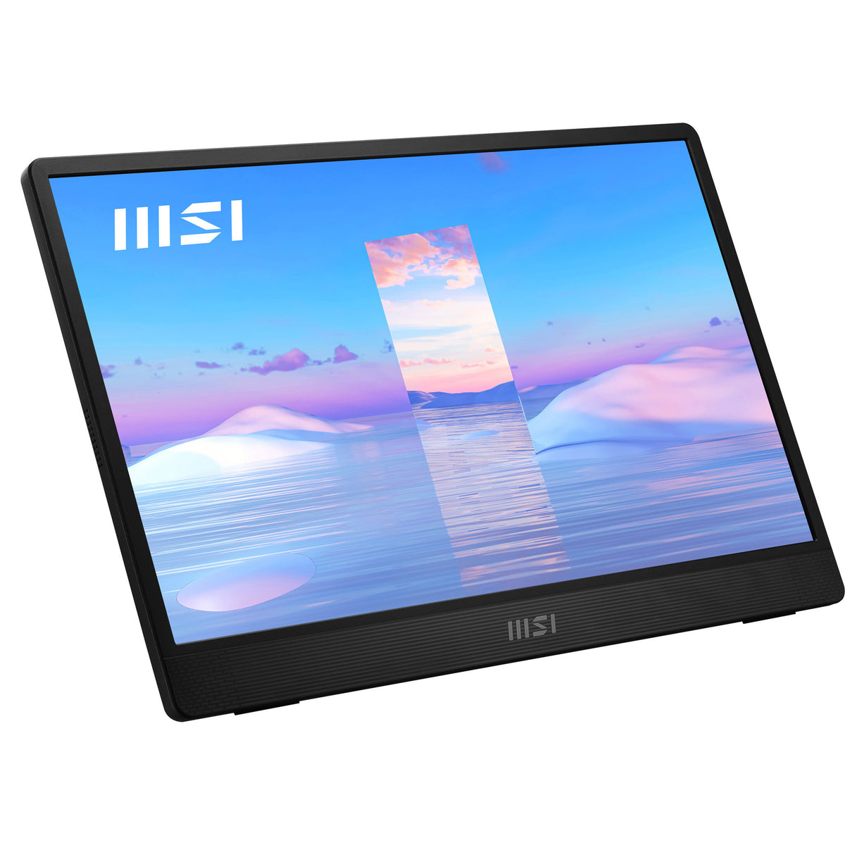MSI Pro MP161 - 39.6cm (15.6") - 1920 x 1080 pixels FHD Portable Monitor