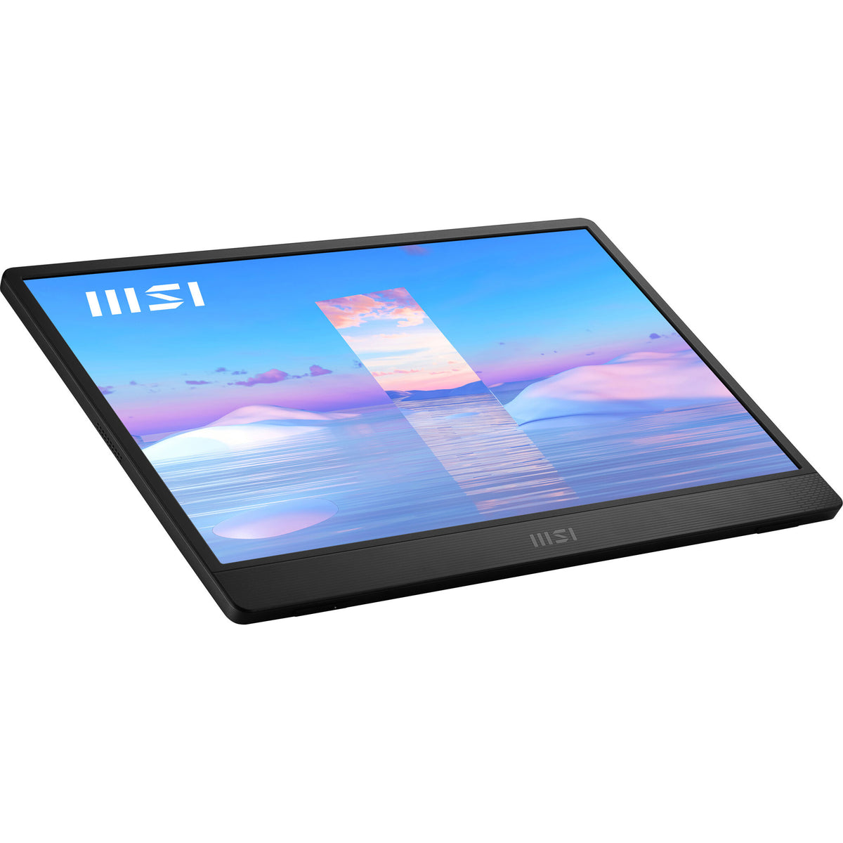 MSI Pro MP161 - 39.6cm (15.6") - 1920 x 1080 pixels FHD Portable Monitor