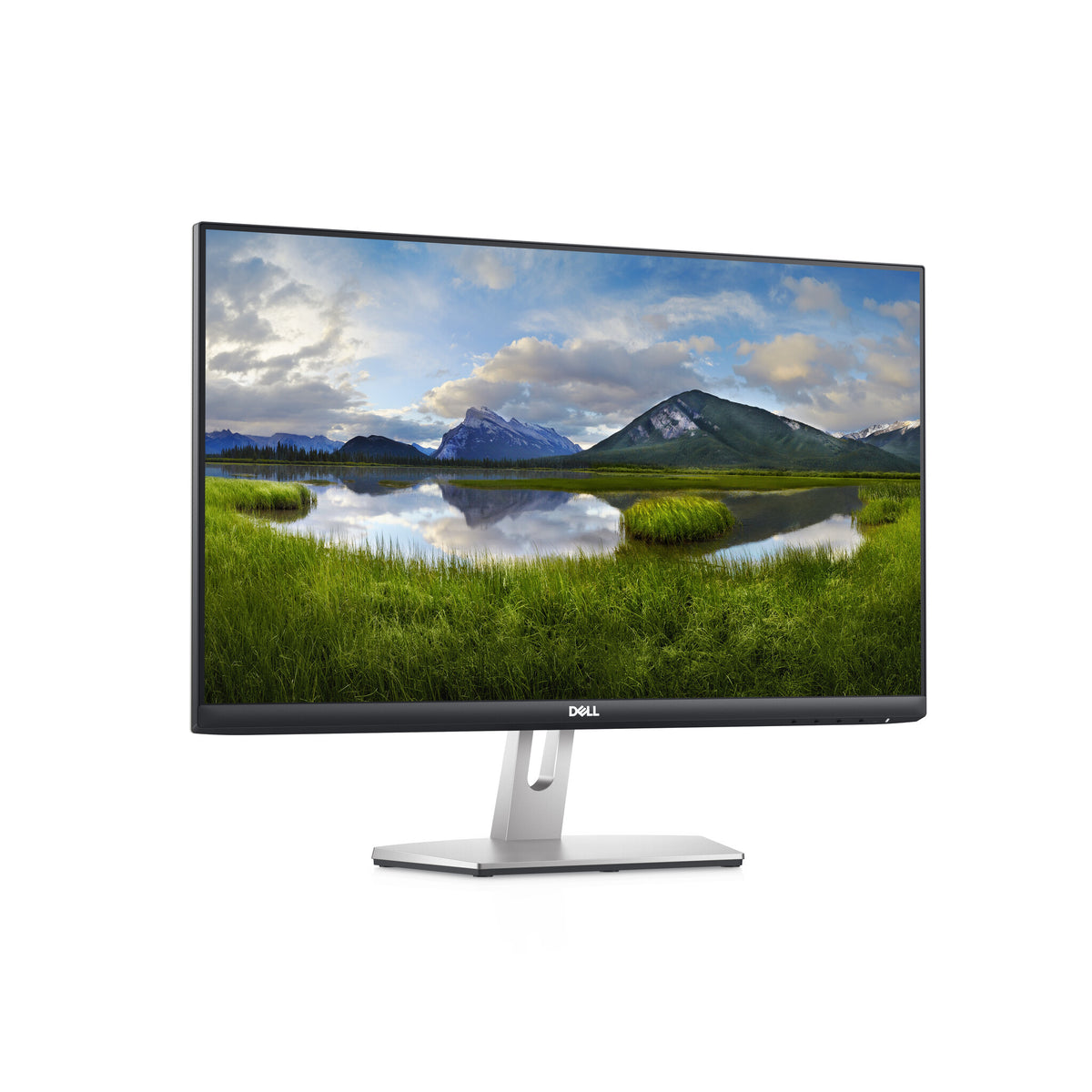 DELL S Series 24 S2421HN computer monitor 60.5 cm (23.8") 1920 x 1080 pixels Full HD LCD