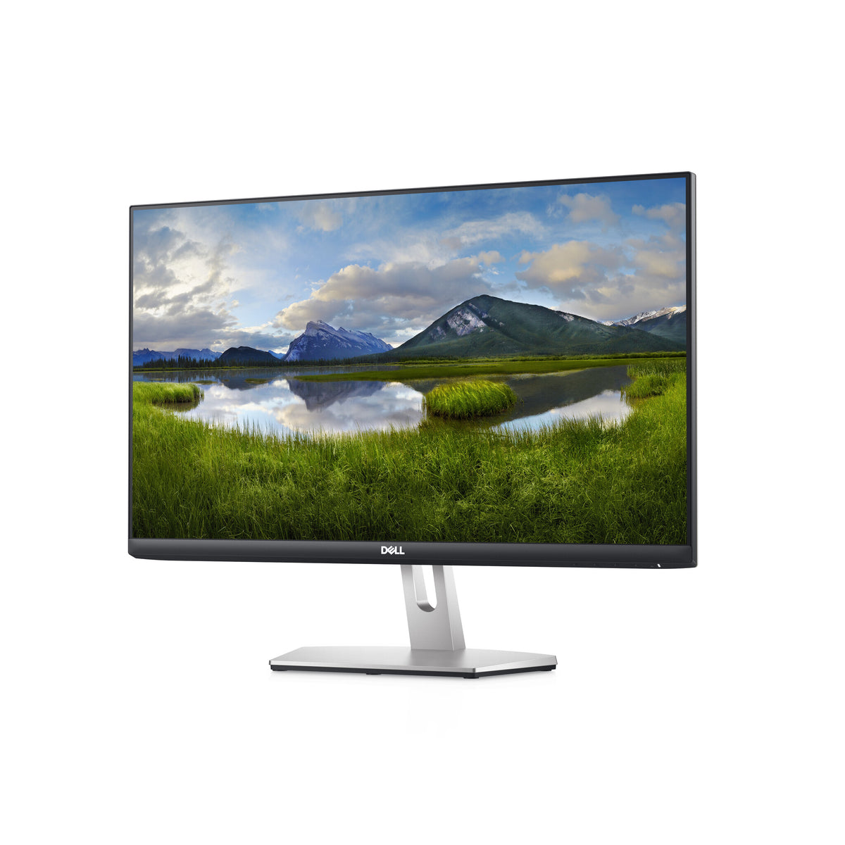 DELL S Series 24 S2421HN computer monitor 60.5 cm (23.8") 1920 x 1080 pixels Full HD LCD