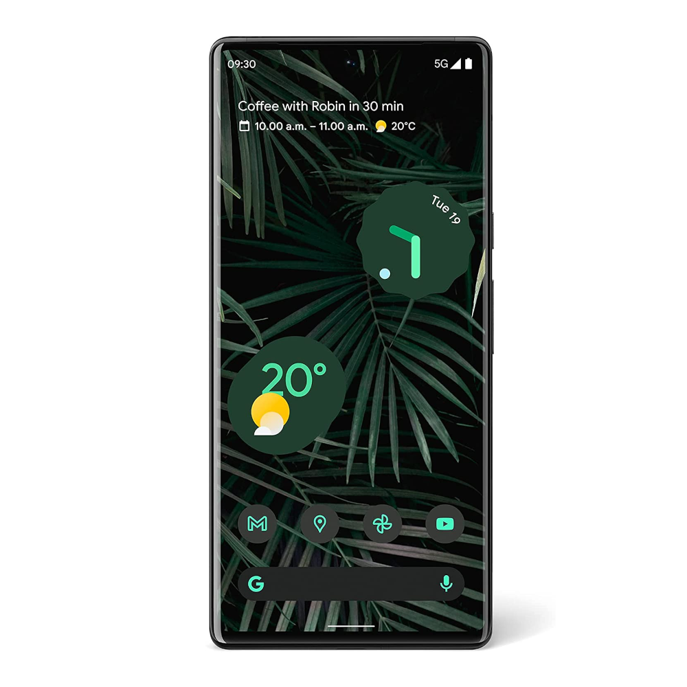 Google Pixel 6 Pro (5G) - Clove Technology